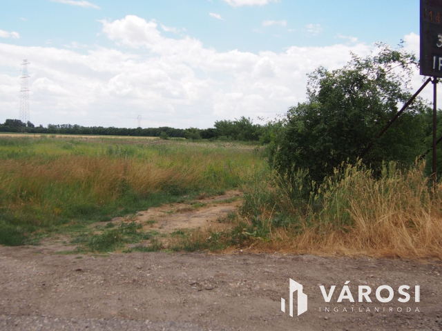 Iparterület Szeged és Vásárhely között, a Tisza hídnál!