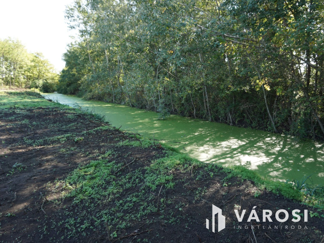 5176 m2 telek több lehetőséggel Gyulán!