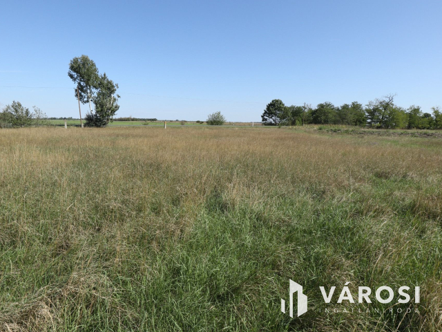 Eladó ipari telephely Orosházához közel