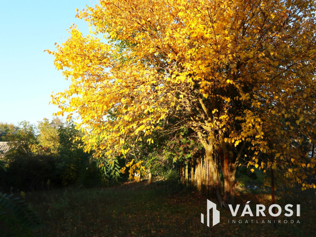 Természetet kedvelőknek - Zsombói zártkert eladó!
