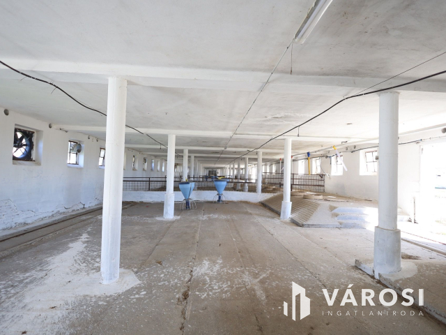 Eladó sertéstelep Szeghalom határában 11 ha területen