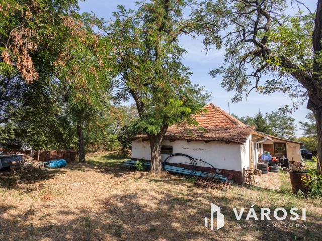 Tanya földdel vagy föld nélkül? Döntse el Ön!