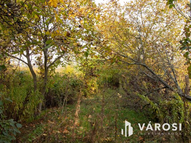 Zártkerti telek Tabajdon 2413 Ft /m2 áron