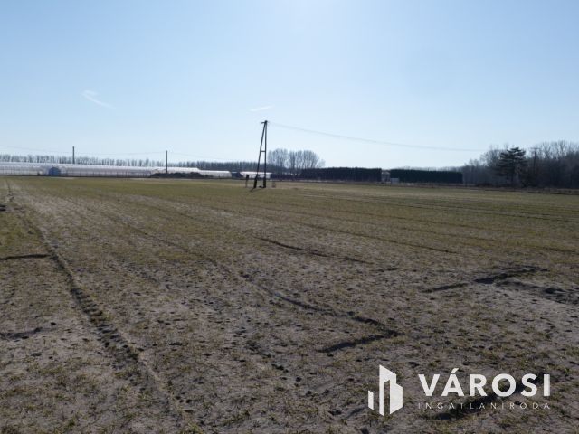 Farm ahol gazdálkodhat