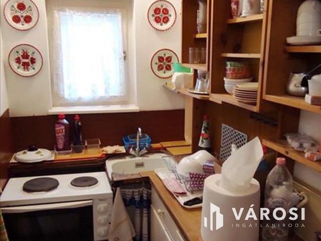 Tiszalökön, közvetlen a Tisza parton nyaraló eladó!