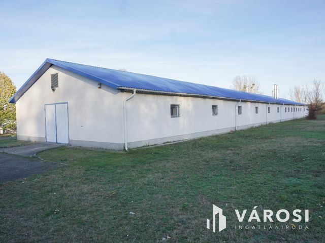 Élelmiszer feldolgozó ár alatt eladó!