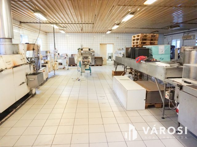 Élelmiszer feldolgozó ár alatt eladó!