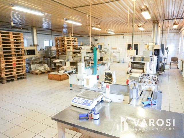 Élelmiszer feldolgozó ár alatt eladó!