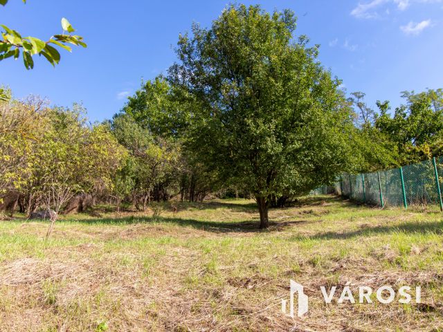 Panorámás telek Úny szívében