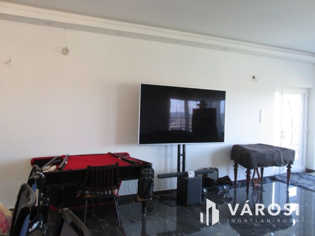 Új építésű nagy családi ház tágas telekkel