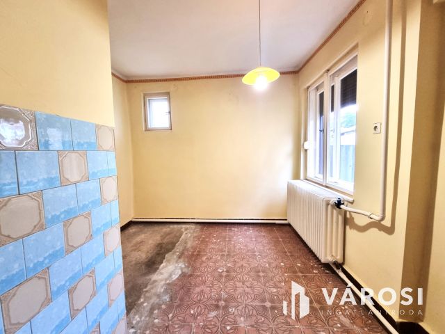 Vízpart közeli telken, kiváló szerkezetű tégla ház eladó