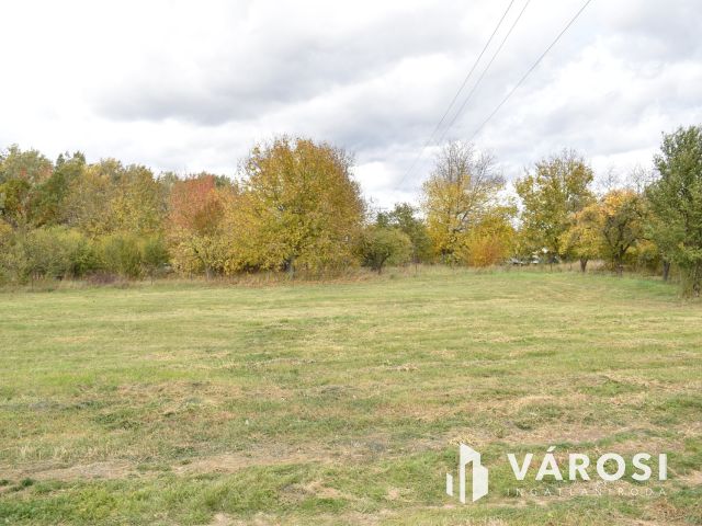 4661 m2 építési telek eladó Gyulán!