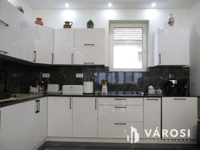 Új építésű nagy családi ház tágas telekkel