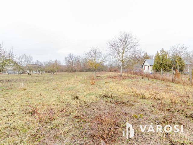 Méretes telek a füvészkert közelében