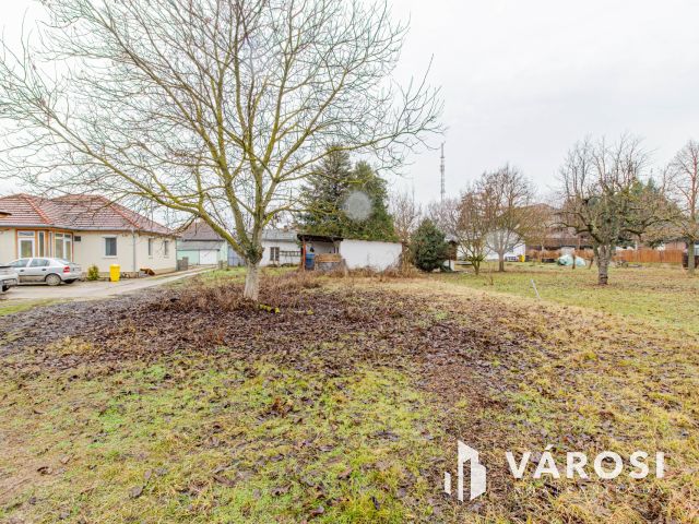 Méretes telek a füvészkert közelében