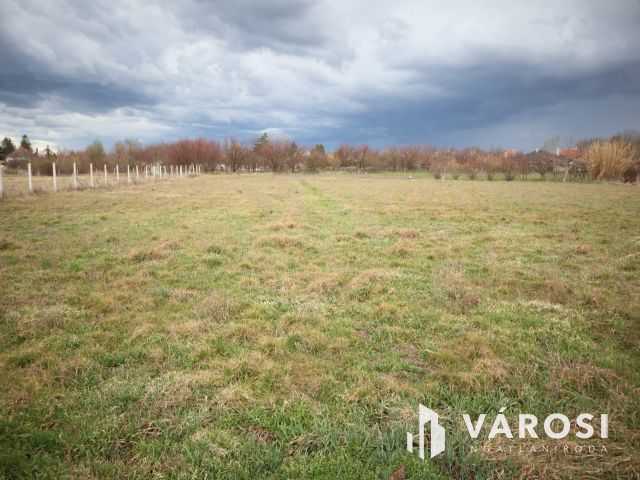 Eladó építési telek Deszk kiváló részén!