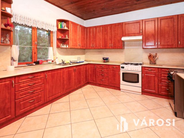 Nagy családi ház eladó vendégház lehetőséggel Gyomán