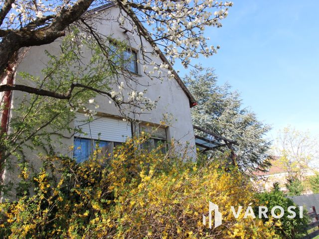 Alsóörsi retro nyaraló eladó