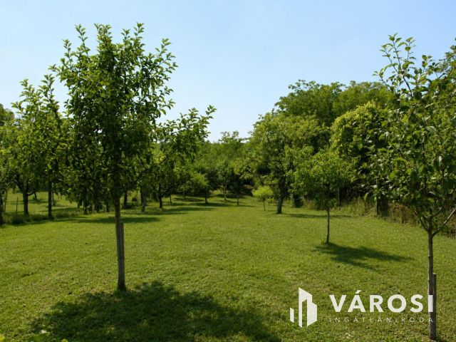 Gondozott gyümölcsös+építési lehetőség egy helyen Sárváron